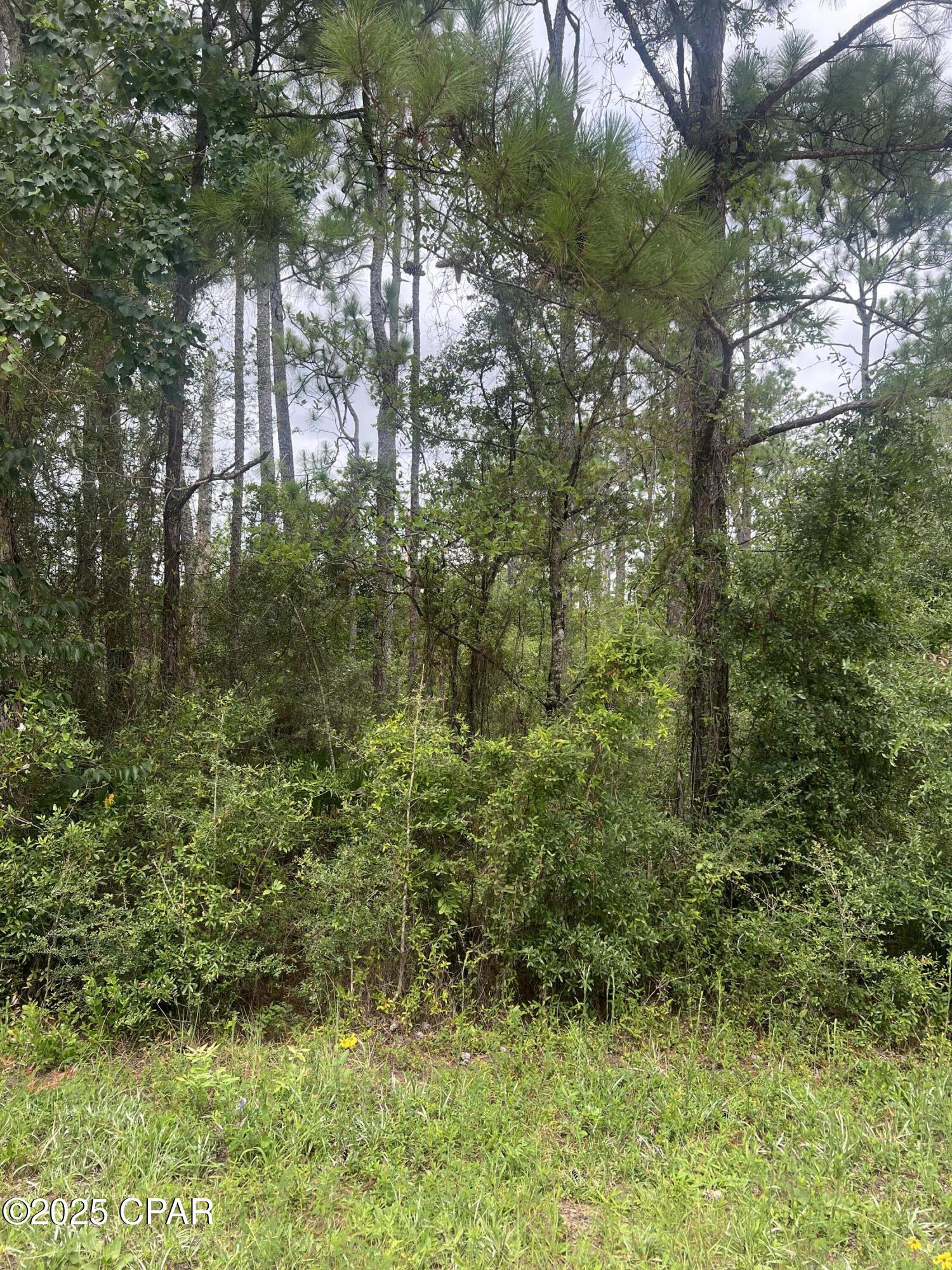 Image 6 For 0 Brandon Road