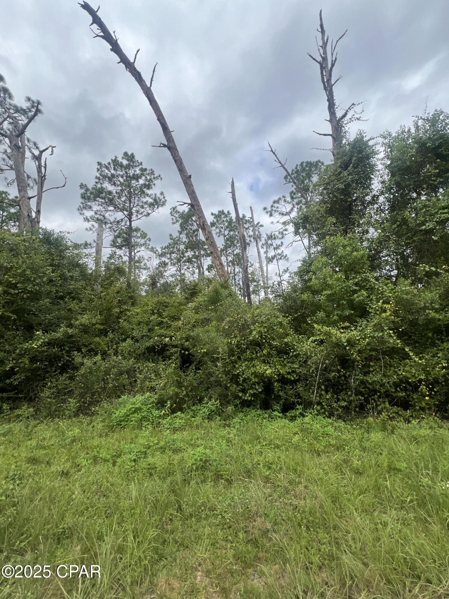 Kgvwihafzhkbrzyebczkug4c5xomqq3jay29fwf4f8m