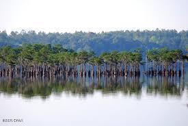 Wh8_7ol7bubonogclj2dfxao7igjqqrgmskjj_nkluw