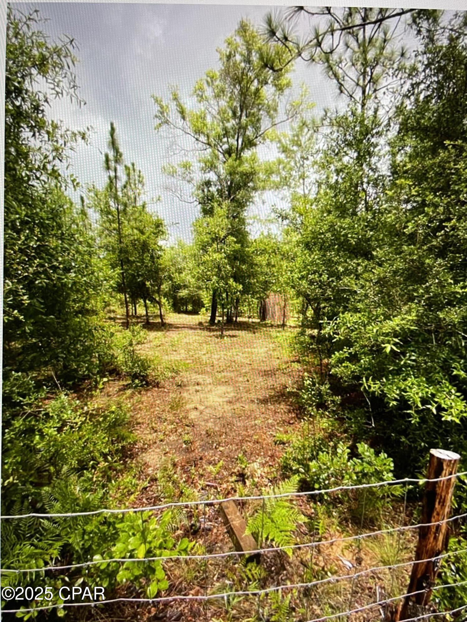 Details for 176 Two Tail Road, Alford, FL 32420