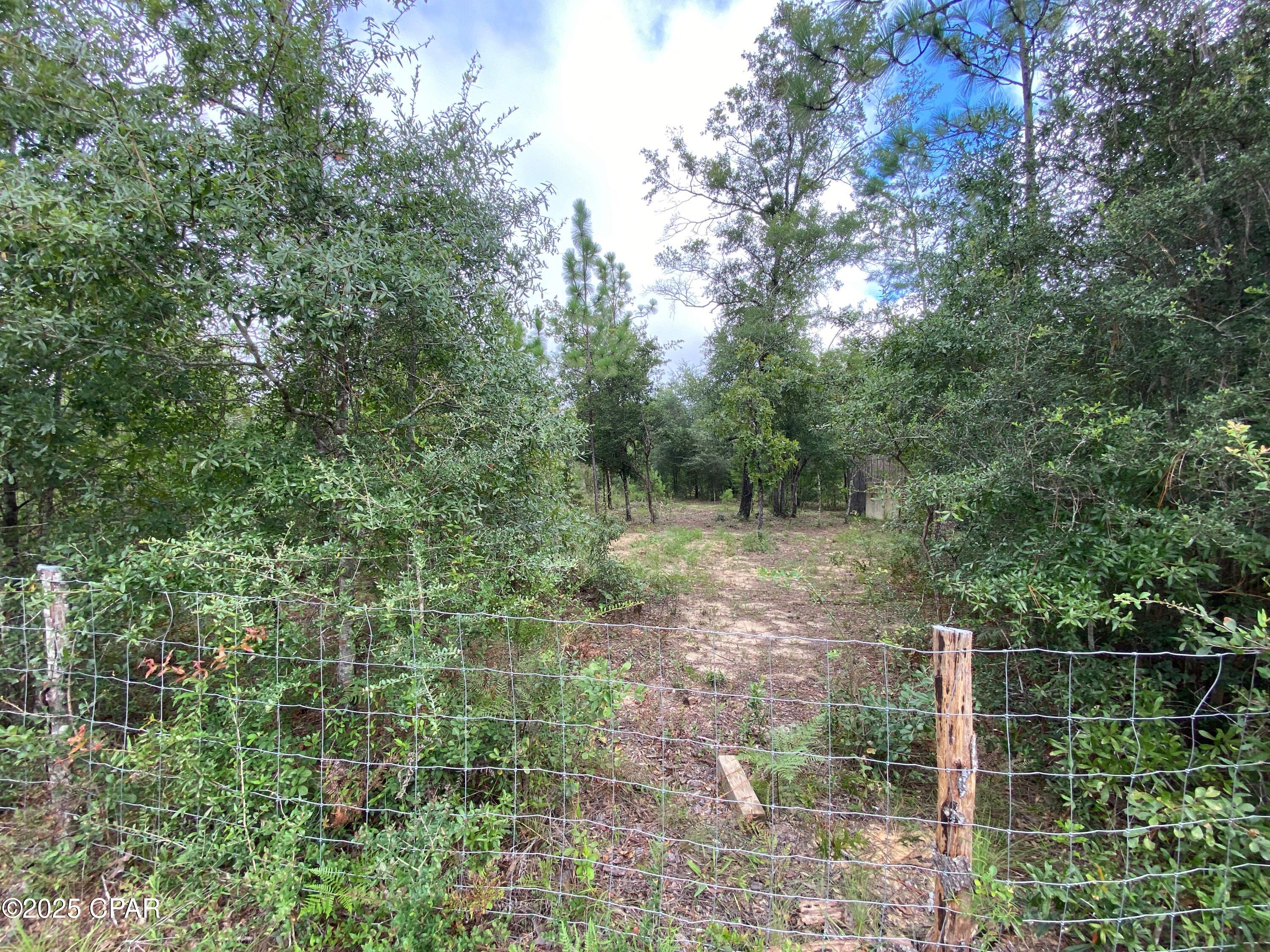 Image 6 For 176 Two Tail Road