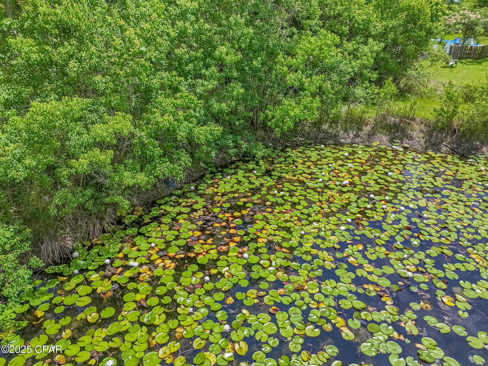 C24umz5z0rzq42jctp9jfybpfdfasdcxql30rzqkjoe