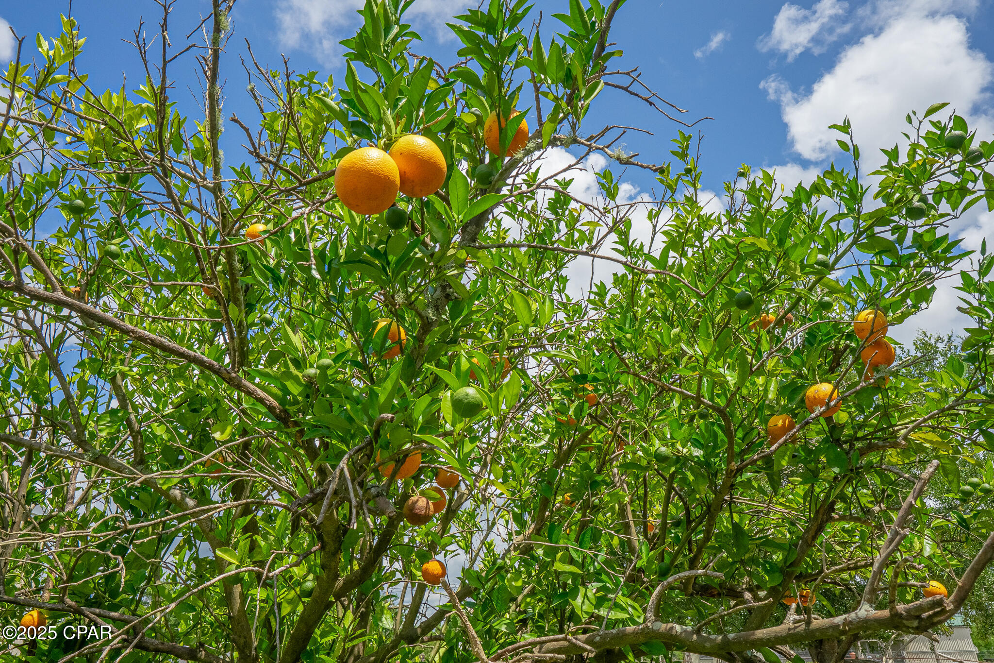 Hcdyp1asrdeyj6vknzvzcgst6kncuju7wujg0_lqute