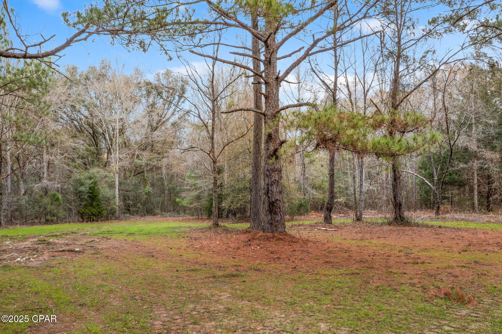 Yoqlnxj71eojff Ndzqtkzlzsfygjm Hpyiw2cf14ec