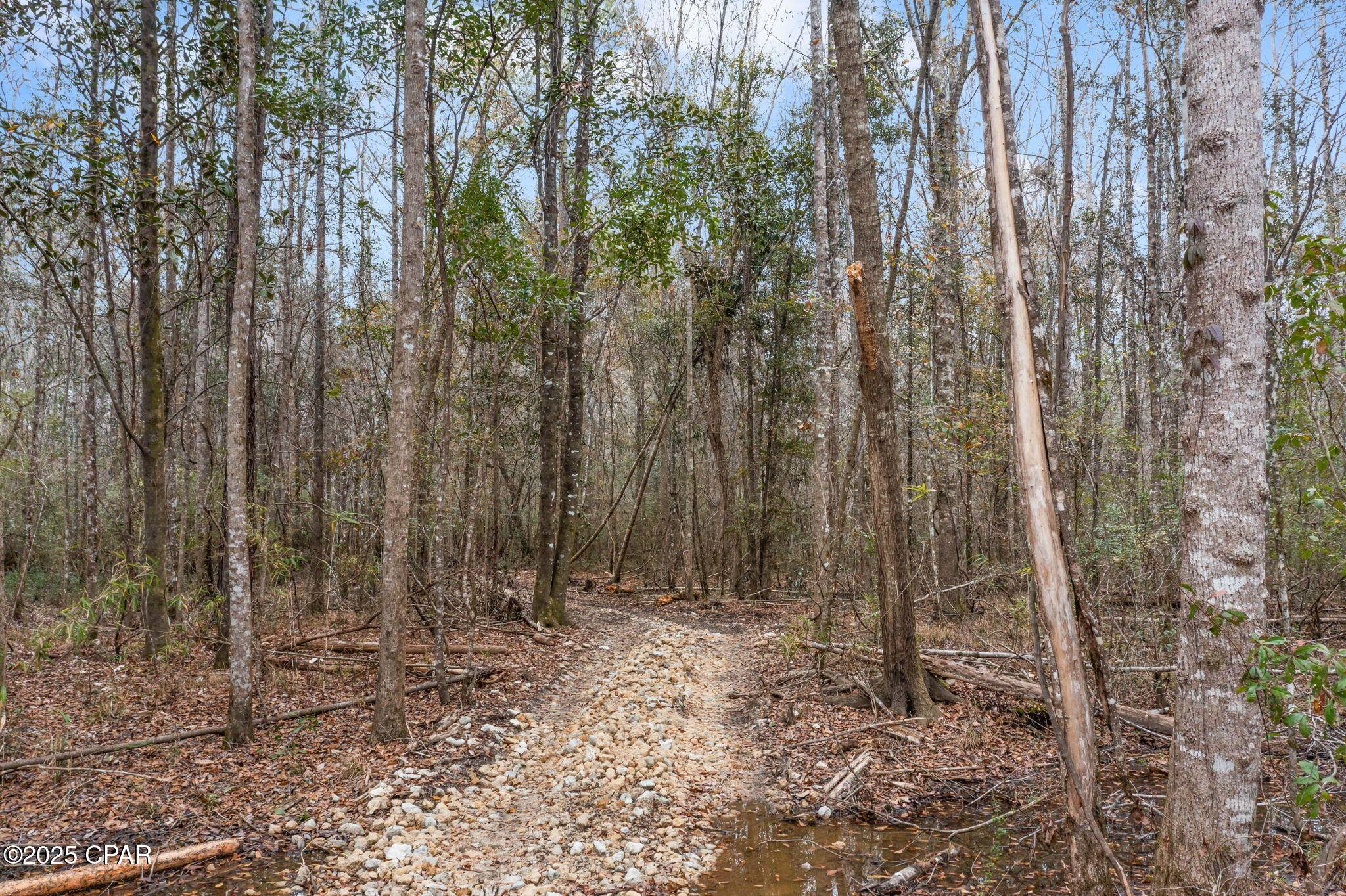 Zgdl1qibw Wwimxznvy88vaxwuwzhfgriuyoweugm2e