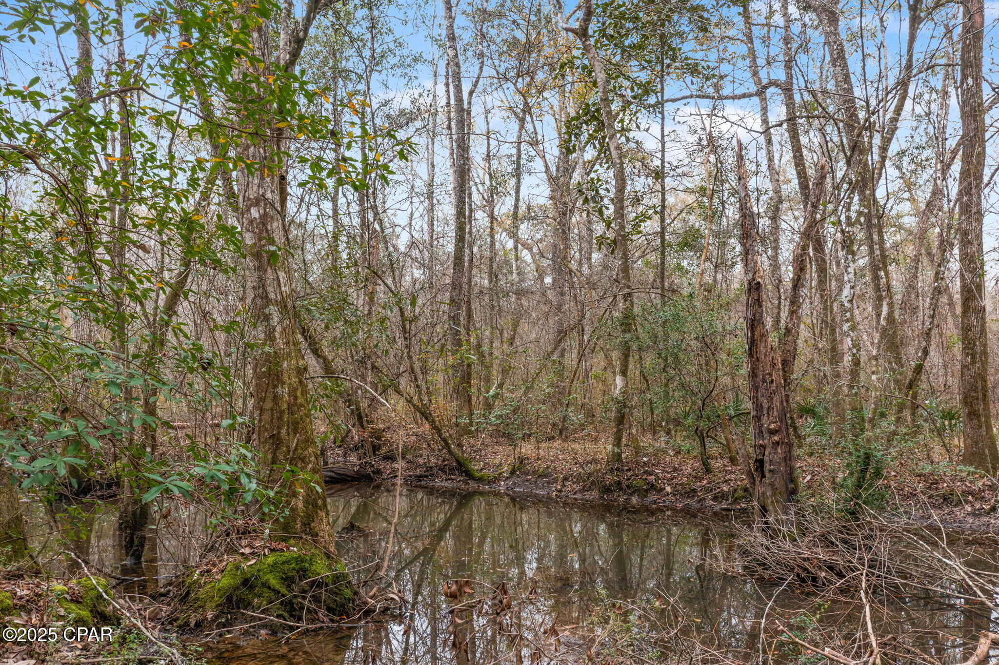 Lb1bxhv71k6h7s6qmm9agxplffejkyj6_wzpmhfrbui