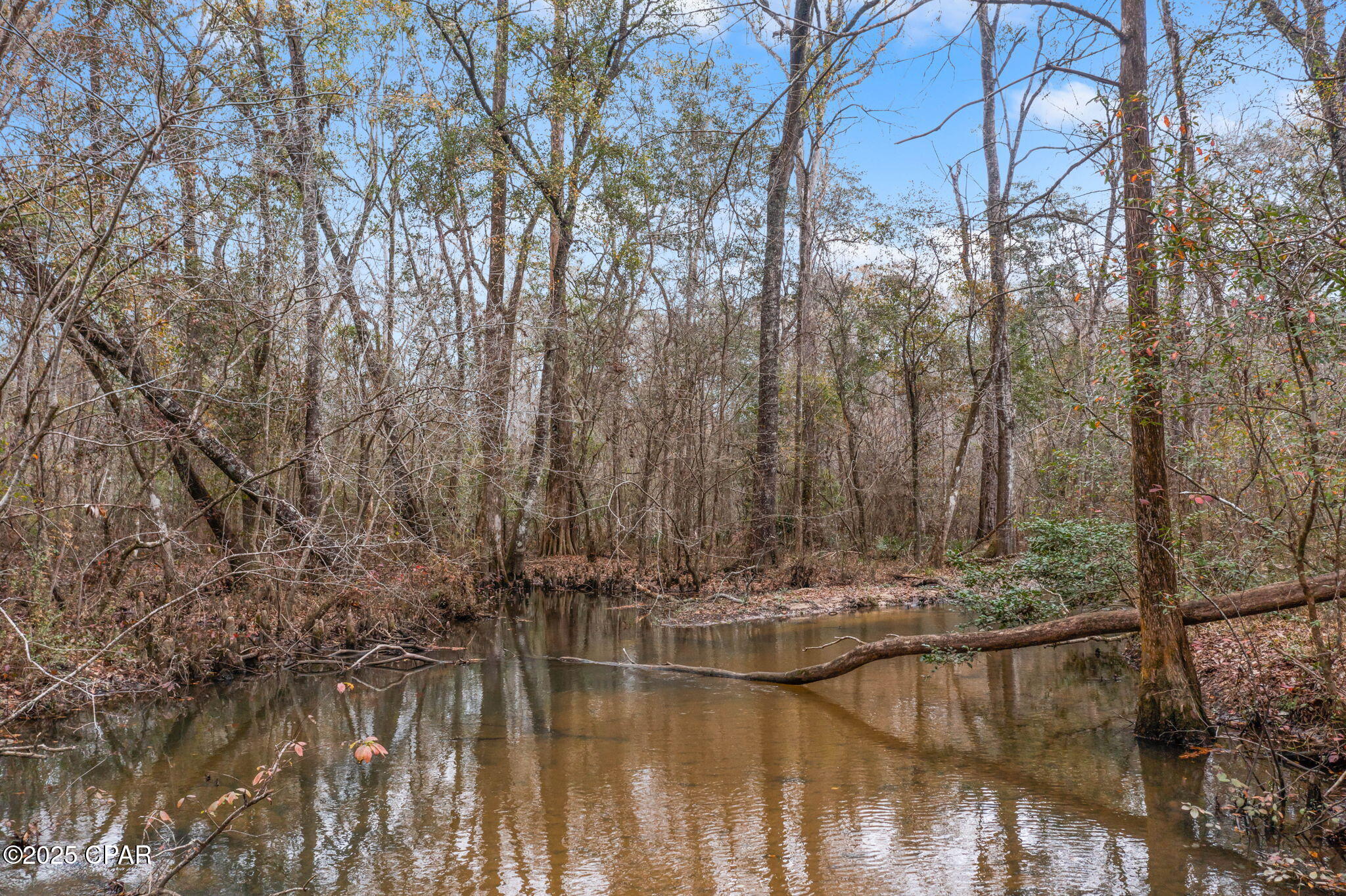 Wti49l2z D3eadbf1mtu8grbbb7gzexy995 93r4fyq