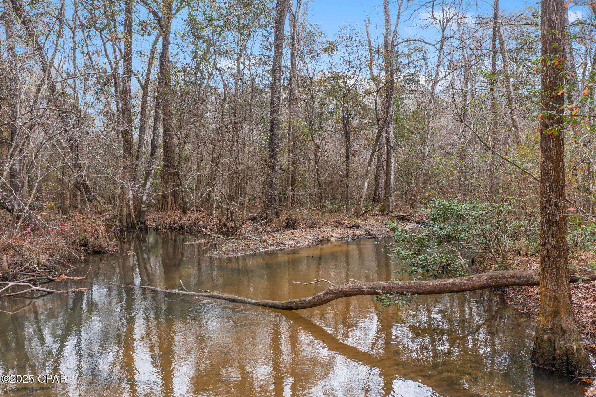 Y R4v7fjbdnt6yrko7igk89l5a3wr Plil_xcrvsto8