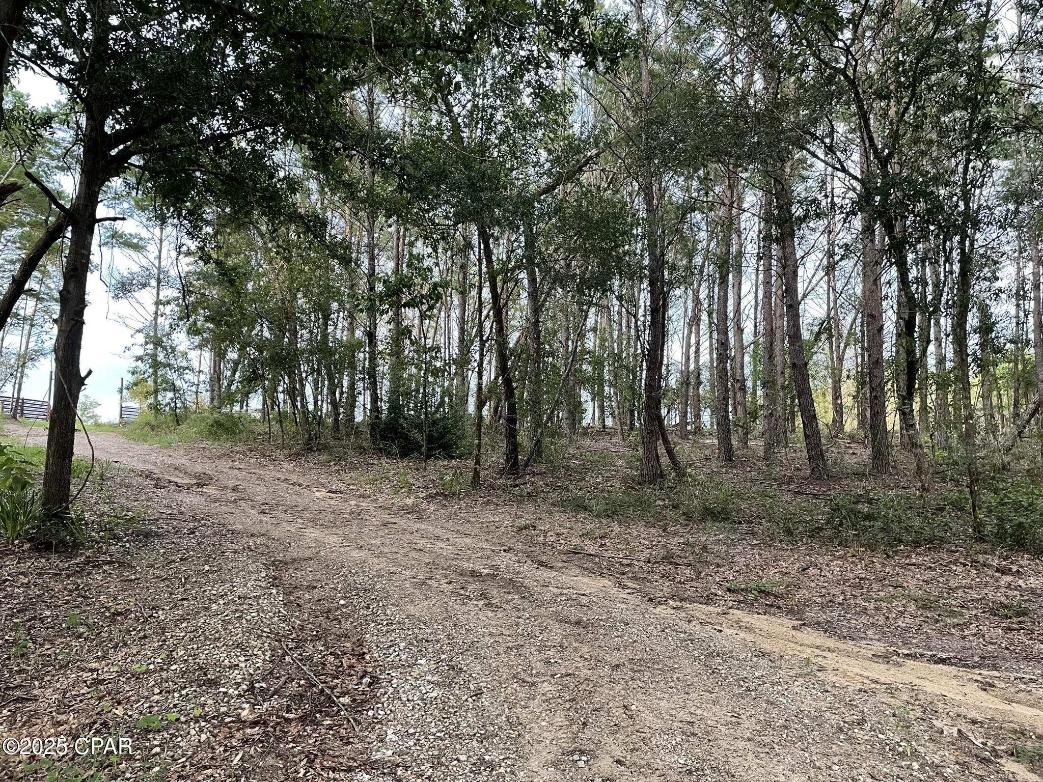 Xuerplvykkk Aibde4aa3fe Pwqfo6b6 Rw87n4vhya