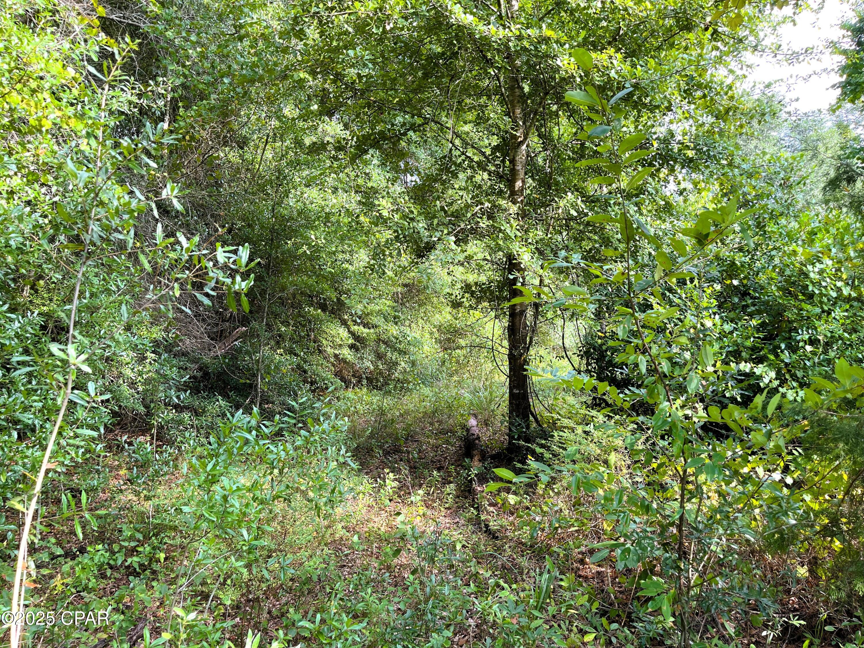 _ankbuneohnlxeqyv8wauuq Sldg3iqqr 0byceyazc