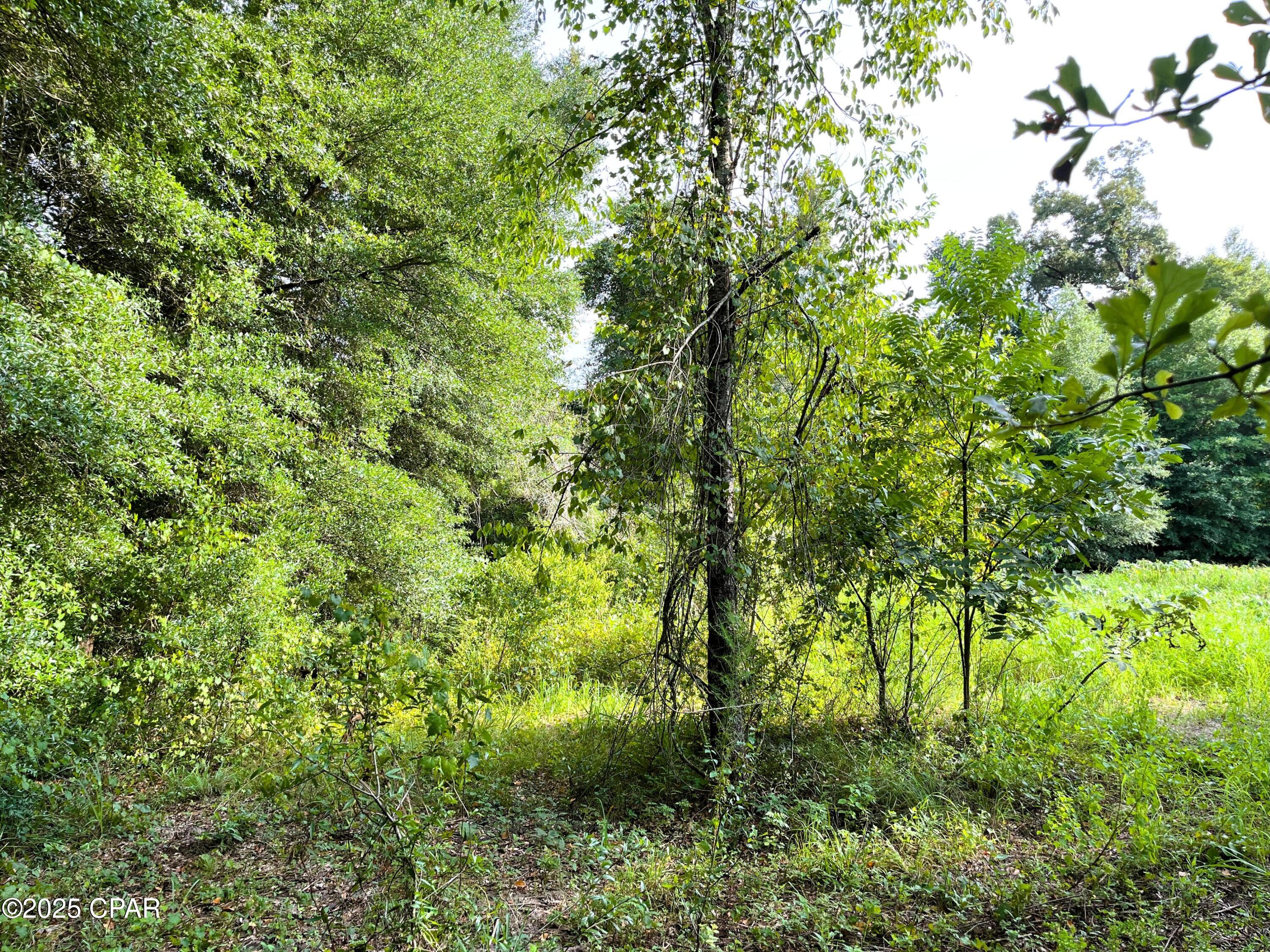 Emwjadb2s1cbrcasey2sd136xlzczs_fi0ja74_2c6i