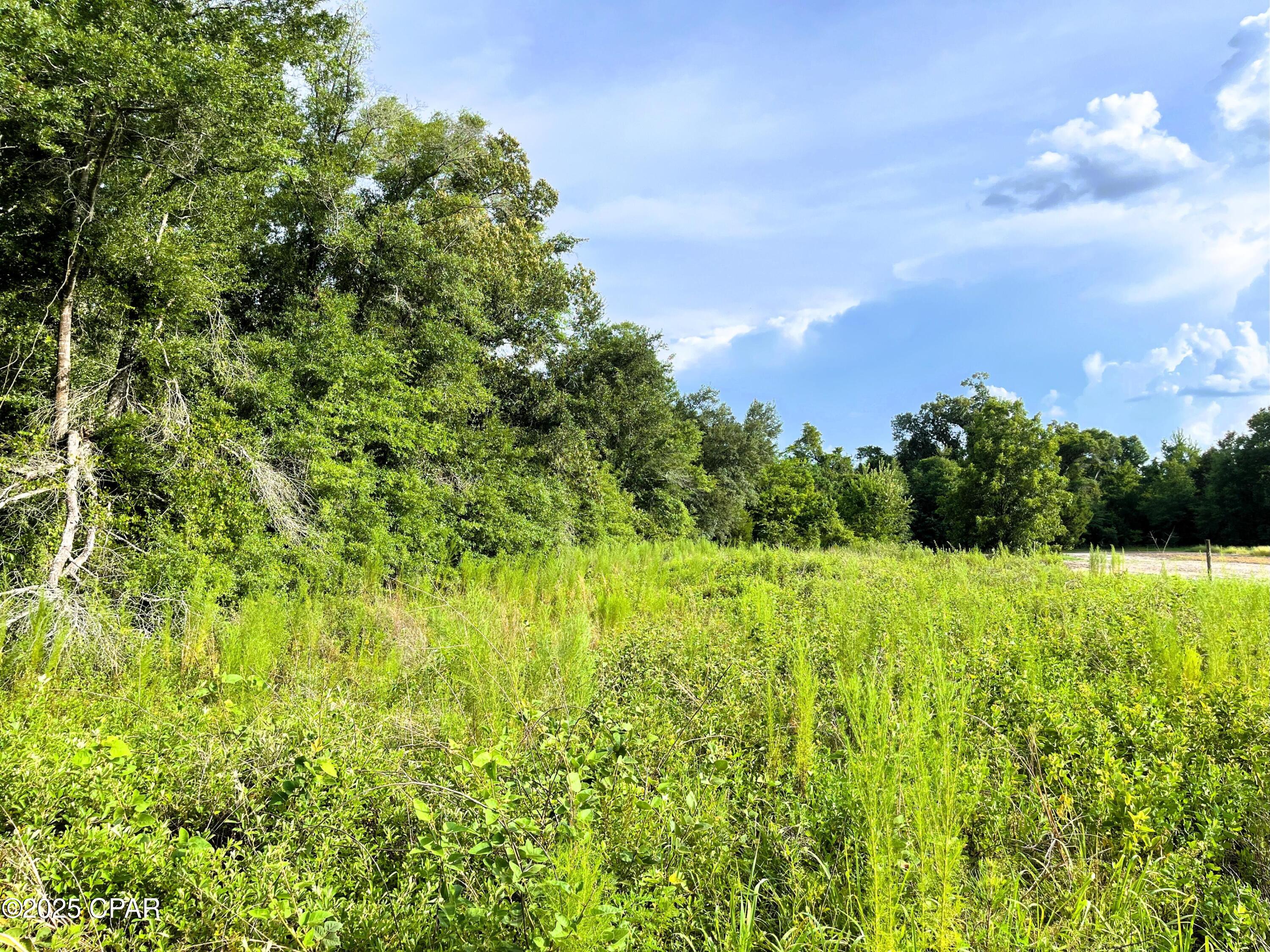 Bucv6bao1nmj38b Fer2clf0lzj1dk9nhfrzdfkkqqi