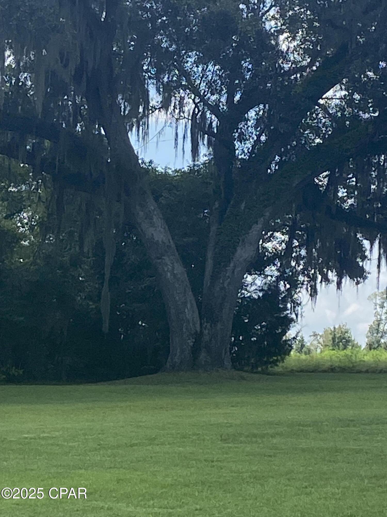 Abbgwedtb77envqq3fkrrmpmawlqtqbppjfzbyvn_mw