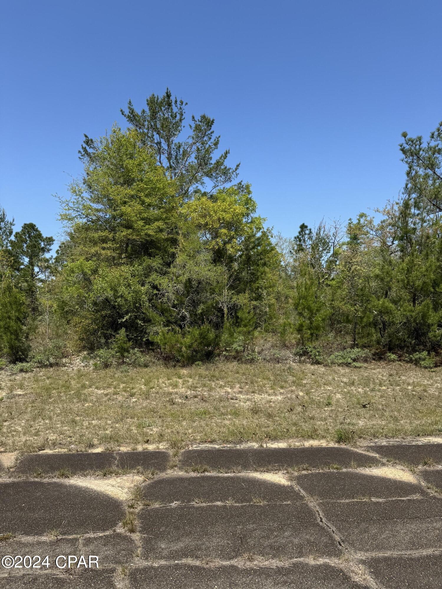 Image 5 For Tbd 2 Lots  