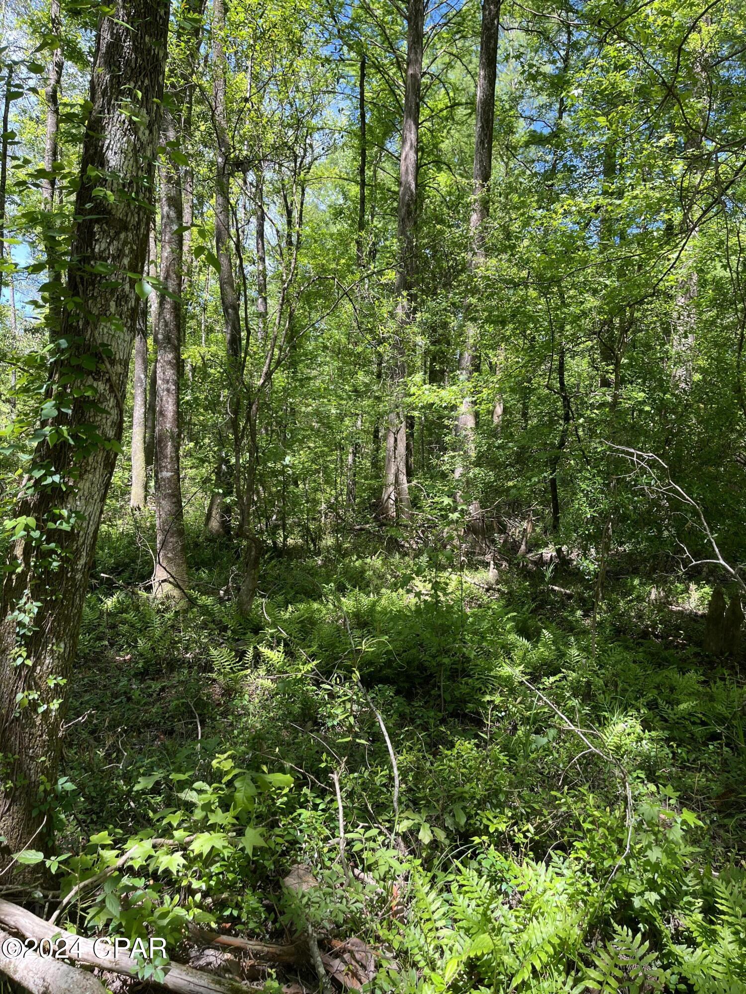 Axxu3py92vtvxdhgpp72idft8naqkp4cqw Wgcvprsg