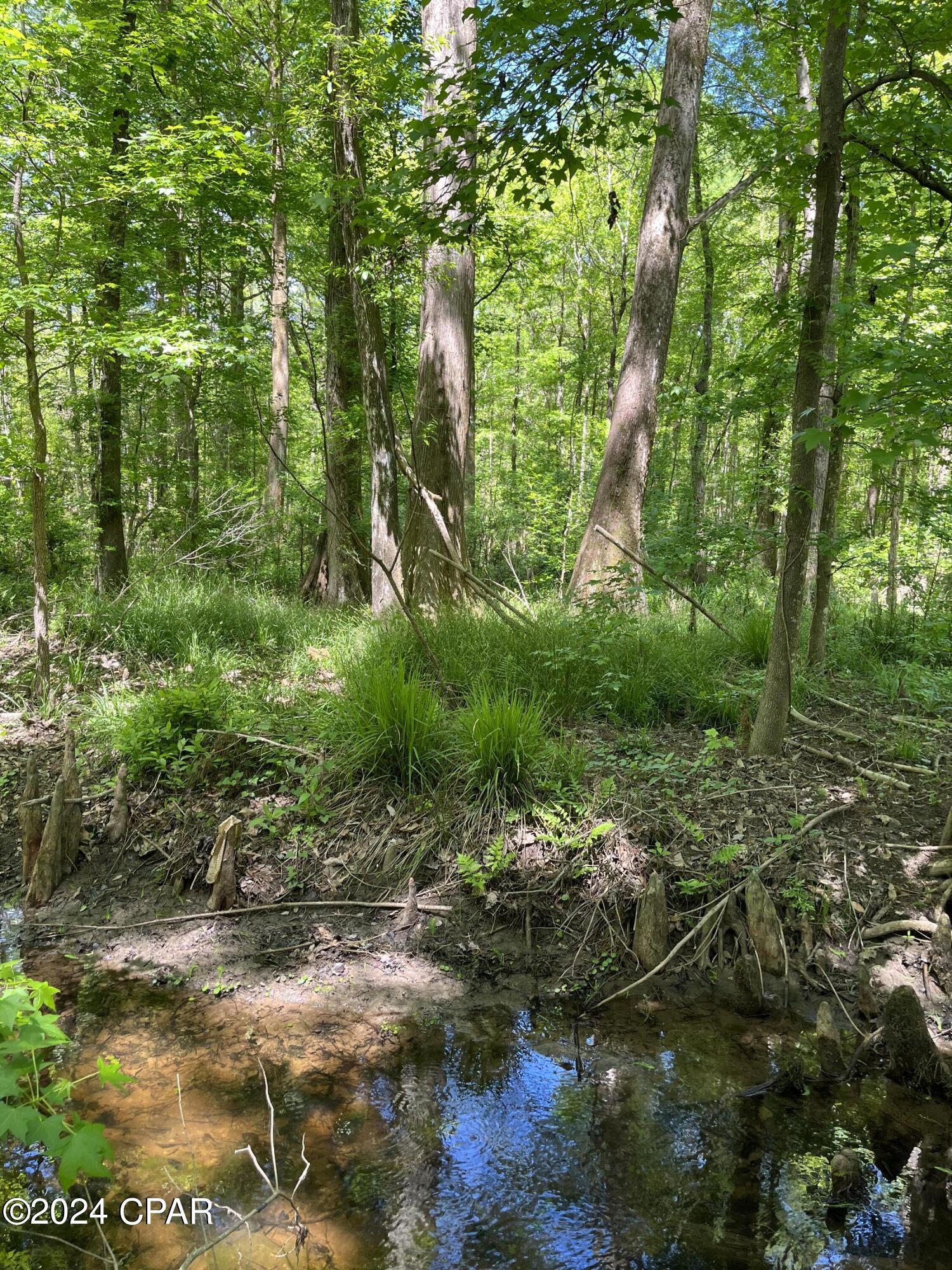 B3ehaqt3bj V_1a5zdtkqvp6qg7jmvanokbianhphoy