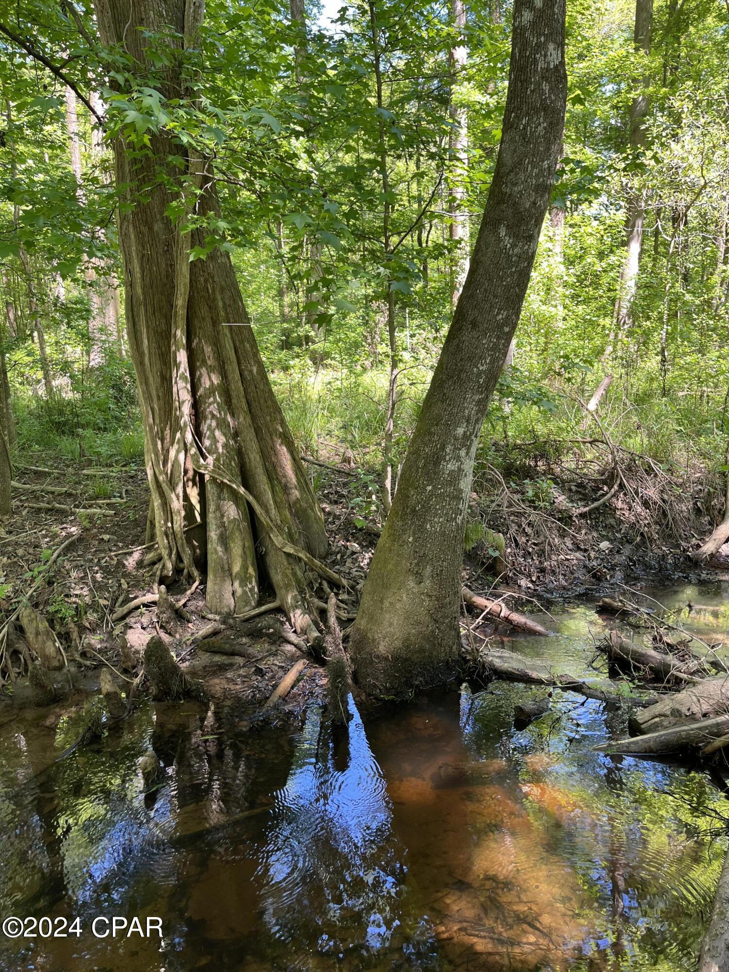 D6r4ep5okpnkxazxomanpvnl1k7dyksjpwvdyspcu64