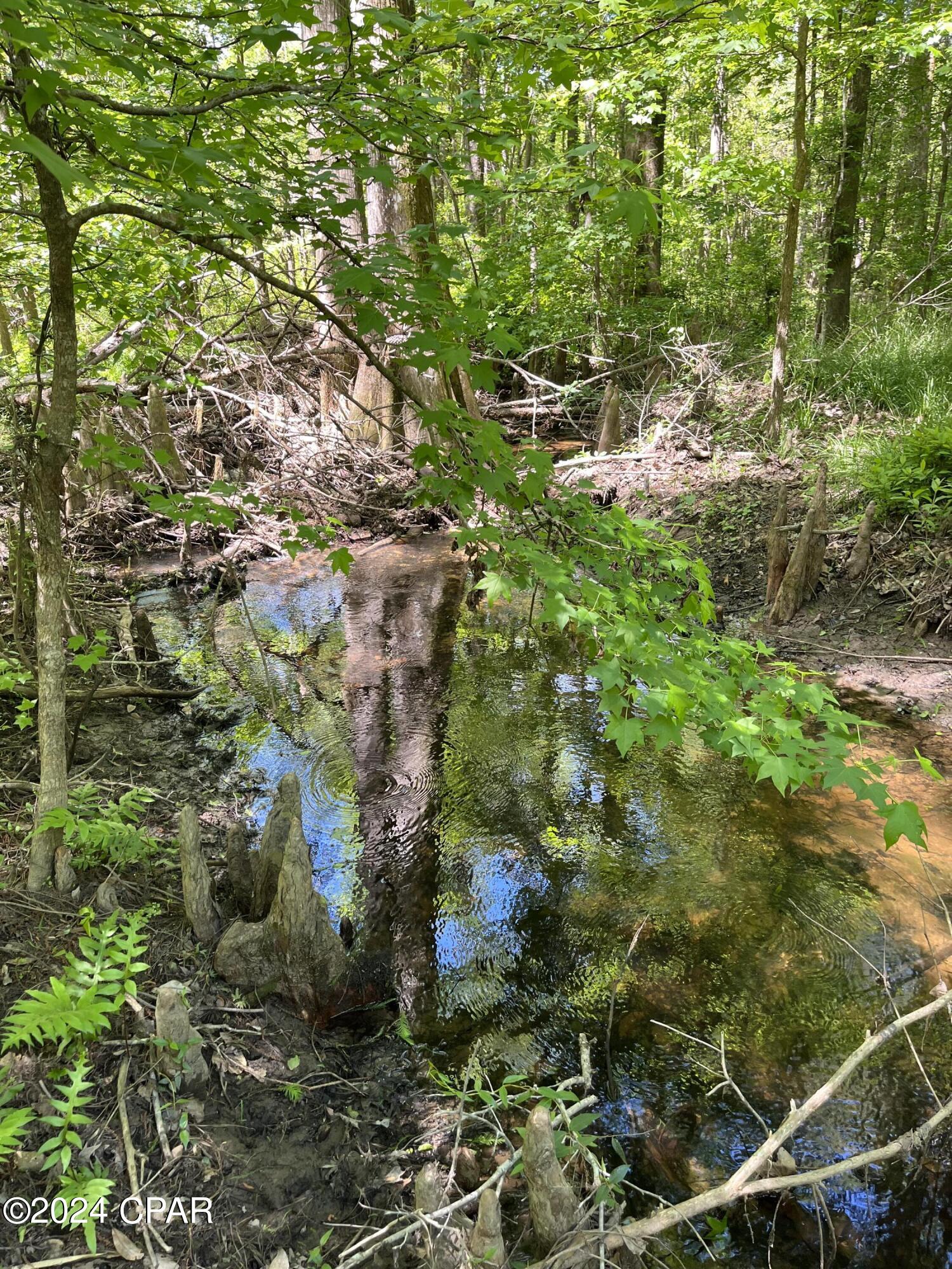 Td9ql_p2rijuziunrbrzo8sfthnbhedkolidhbczl7o