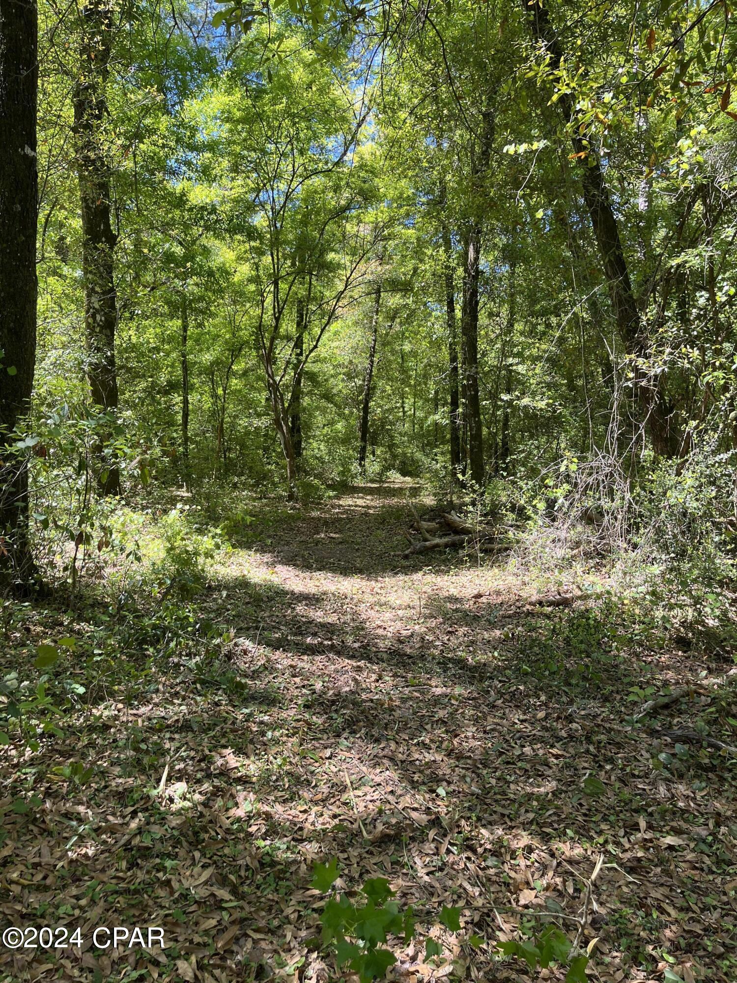 Kq7vzd2lthnmasl69a14jnsvuz6ktoxphfcrzkb252k