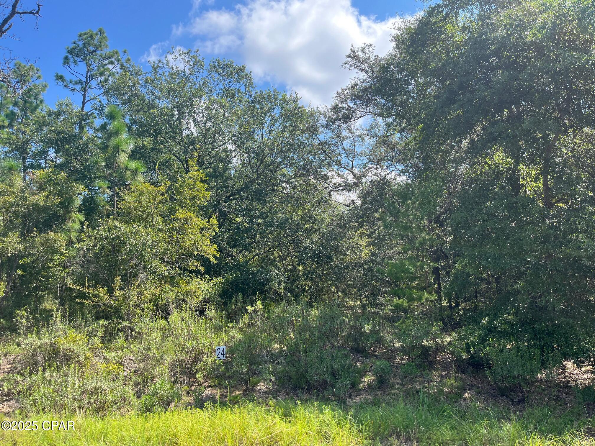 Details for 24 Cynthia Way, Chipley, FL 32428