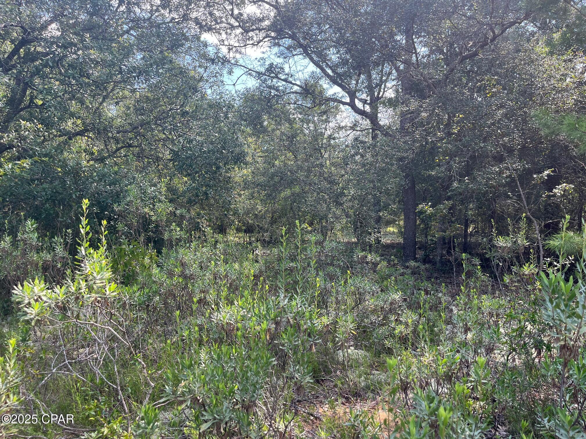 Xhbyon  B3fsd4n P Xcu6srgq2sxf1abitlpas5bp0