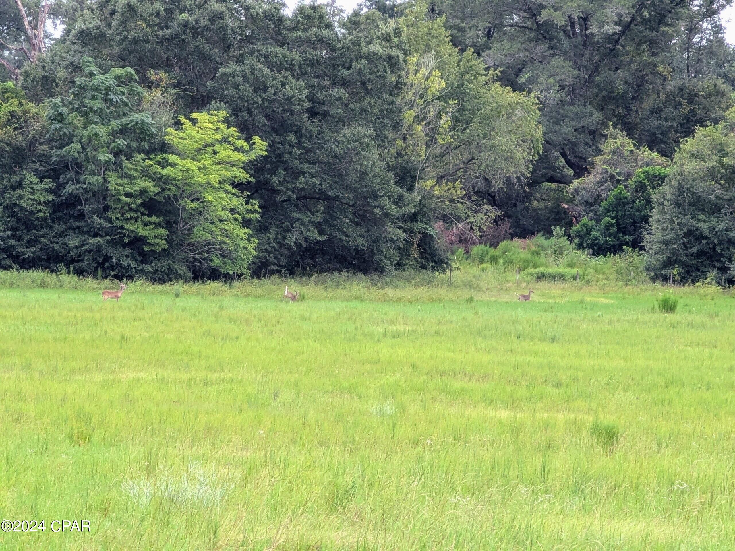 Rad37hlprlswb8n7dexroowmgbkvykeqwsepvu_jf18