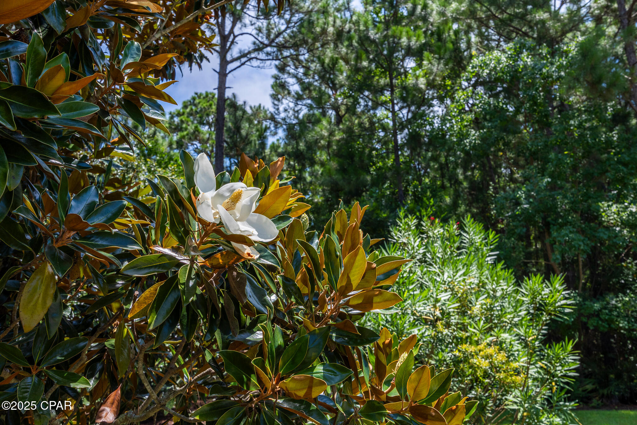 L6phekpksqoqxktgv0jirf6su8tvwz Bdxrzmrd_rqw