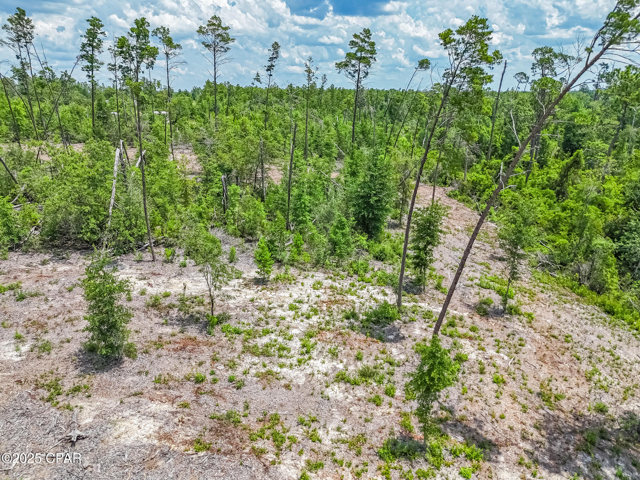 Ca9afxwoau7qv0xkvhsddgcmoh4i Dscpb80867kqlg