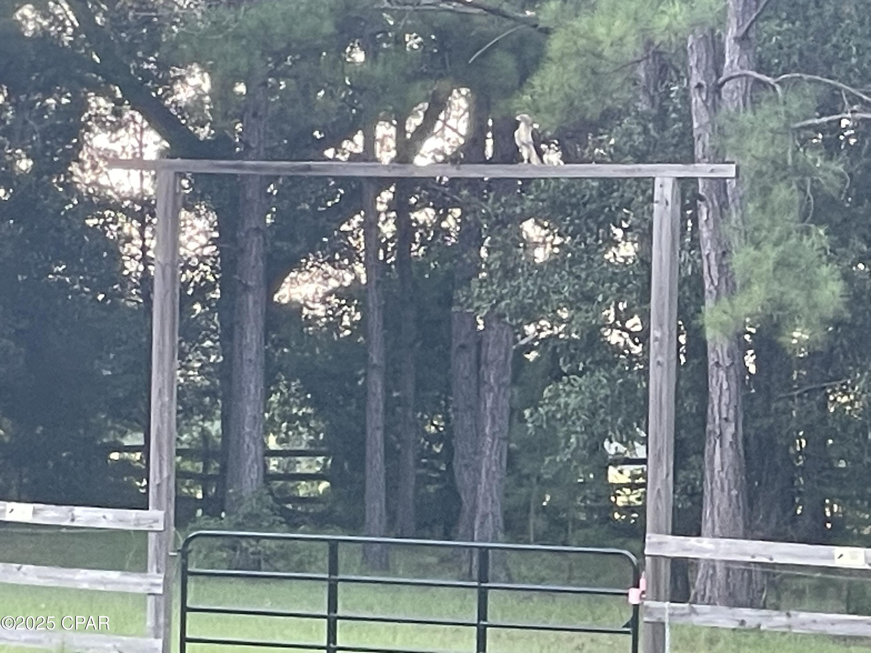 Lfcomgummseuc04xgna_hkasypamay8vkp0tvfkfjgs