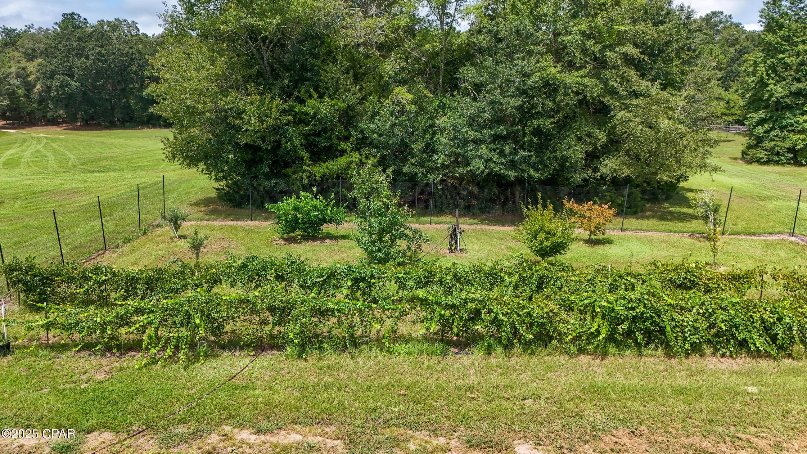 Lmyadpk Tifhmxdhdizlalr7vsv8nsfcwad302zwiva