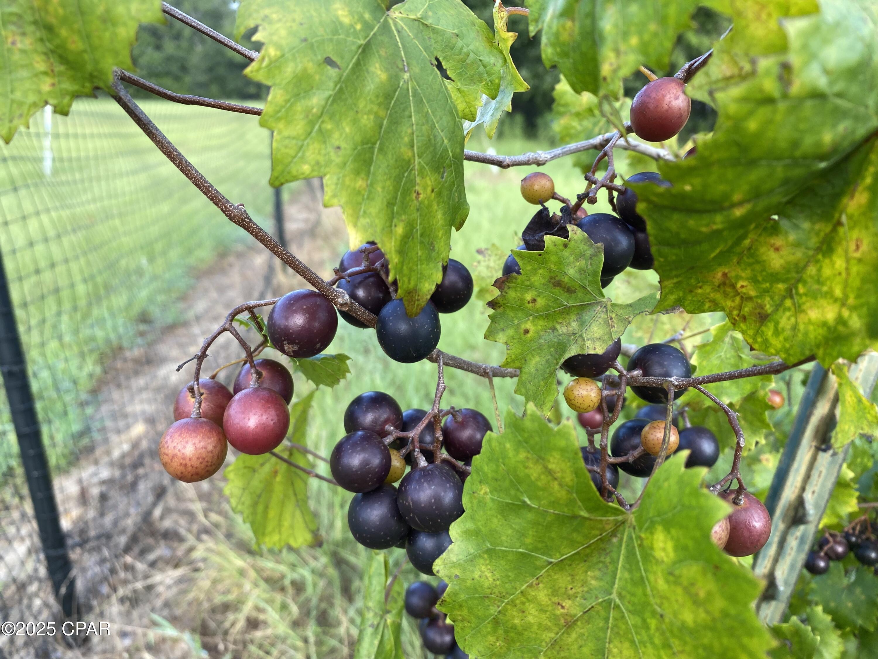 Mido6ck9wl9wge8cydr3szazqizk0wzilx6xkzd3ymw