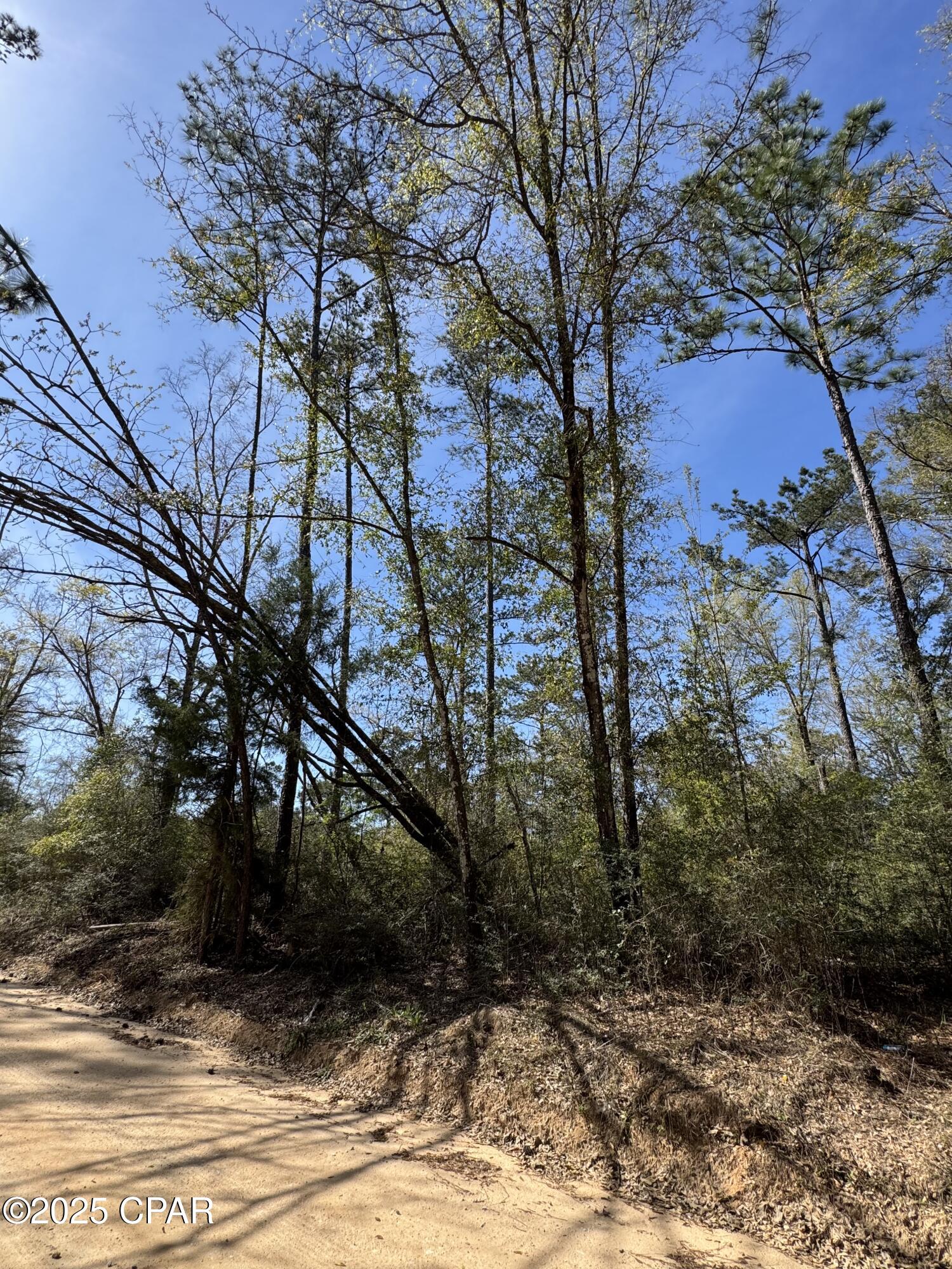 49qu3ezqngfe8a9zocutyc9p Sursa6gk_mtsod8eag