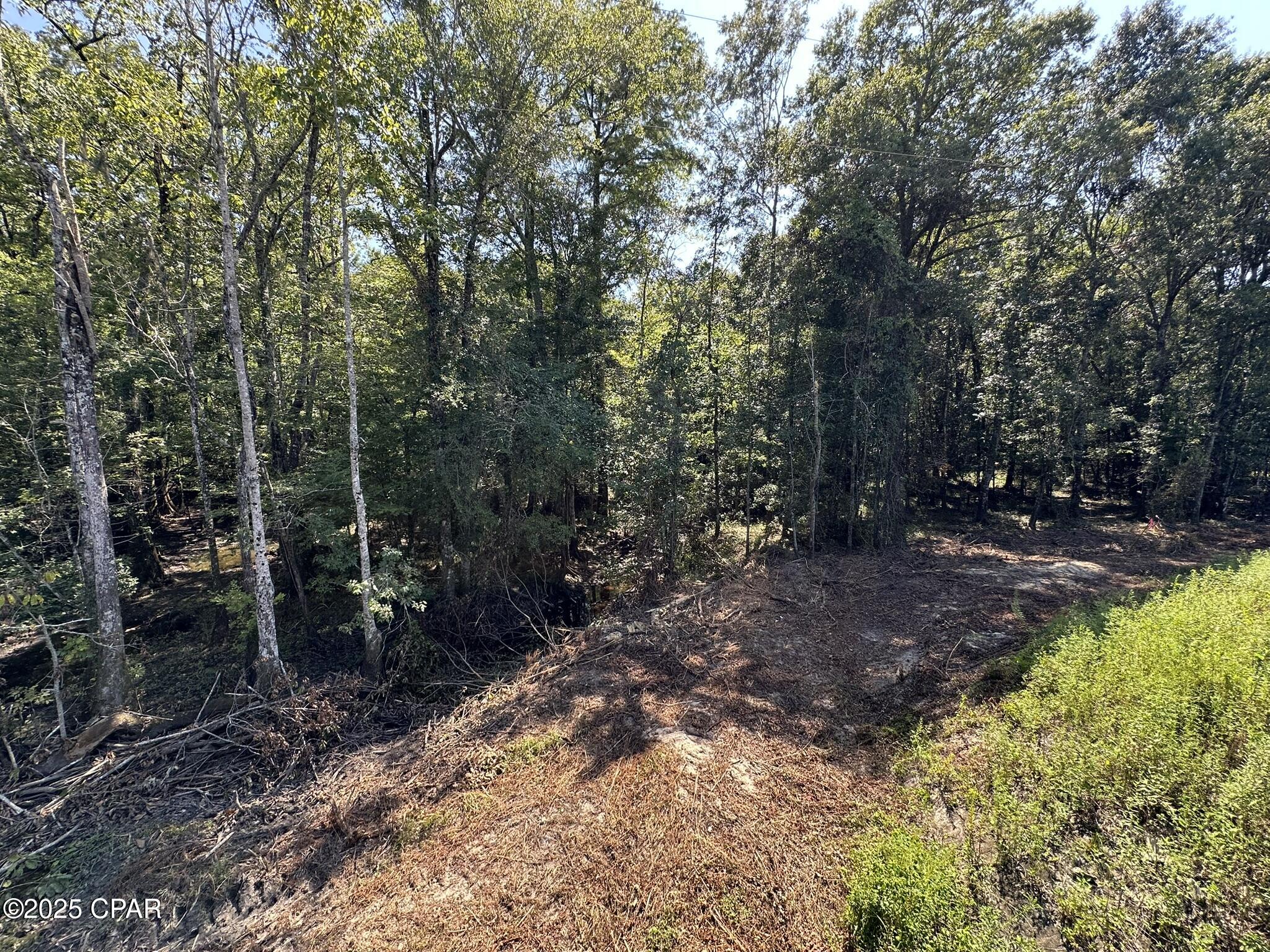 9e8plm5jin0t71evi Yjotg1qu6kdicckoqcos_wwnq