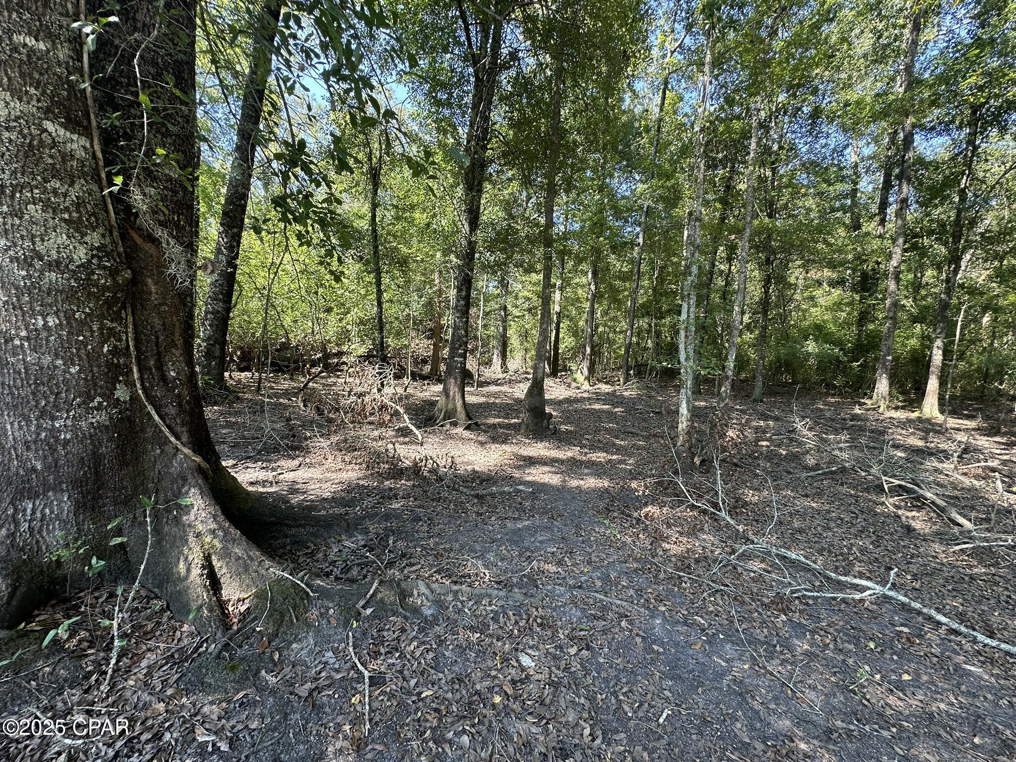 W5wimyuxi_bxdsydn0xg4imhyuckf4zmbmvfmwcj No