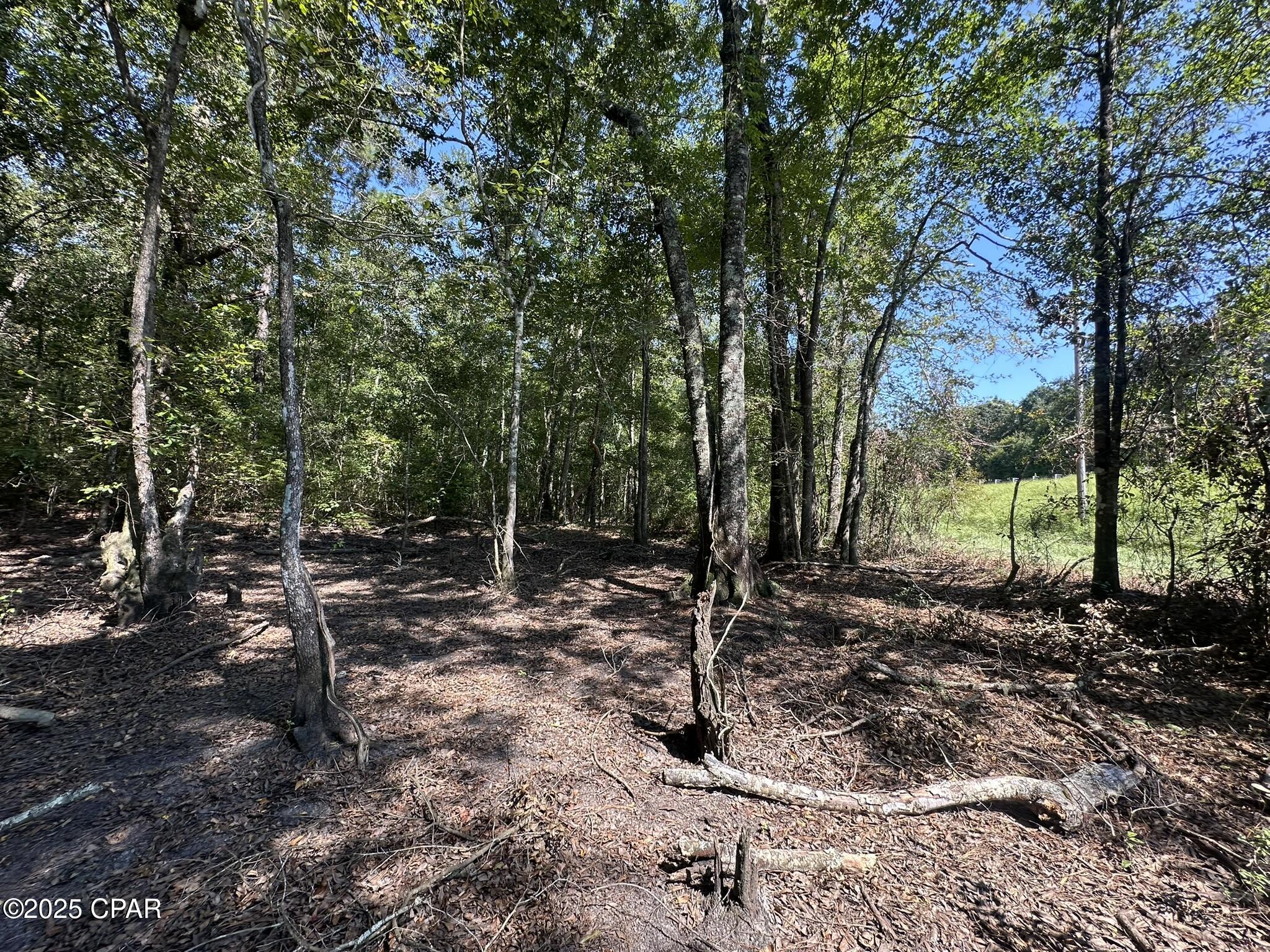 Ea0eihapbldvhvsbszi0rp9c B2foyxrshcqebqanag