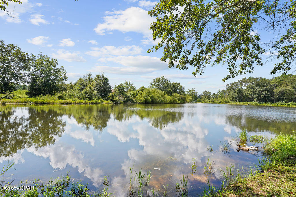 My2pzpwoew D50yiipc035ixtfdixynuwnujm1bzcca