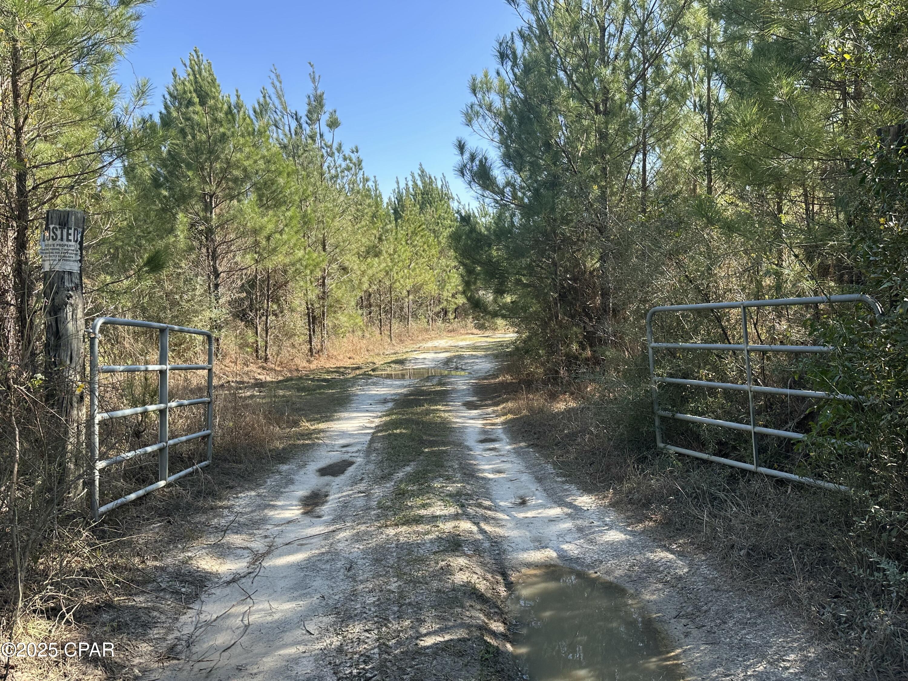 Image 16 For Tract#6317 Harris Stevenson Road