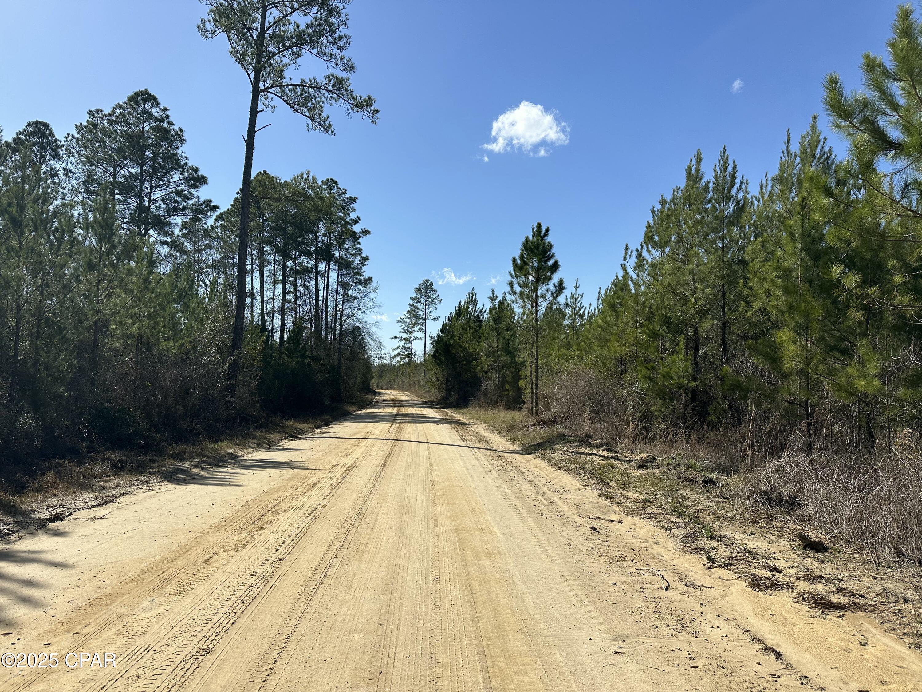 Image 7 For Tract#6317 Harris Stevenson Road