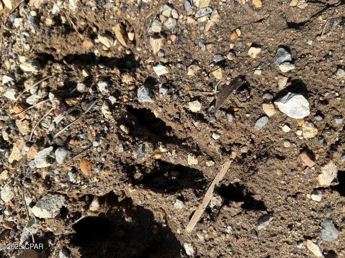 W6agr6sx2weg7gwvky7pha7nfwpi8pijcxatckxpks4