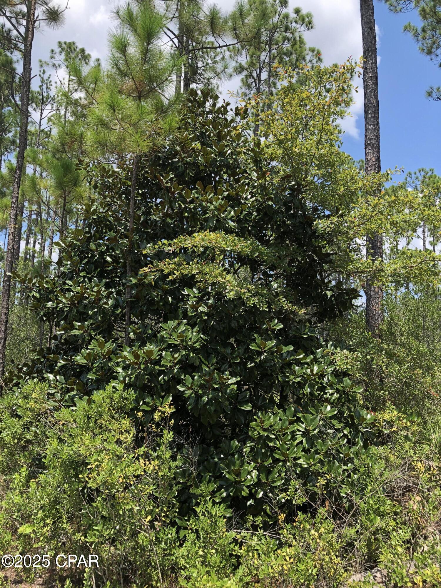 J_yrrkjwf Esnjd883ljgvmhr9oys_uc9z8lp8a5dfw