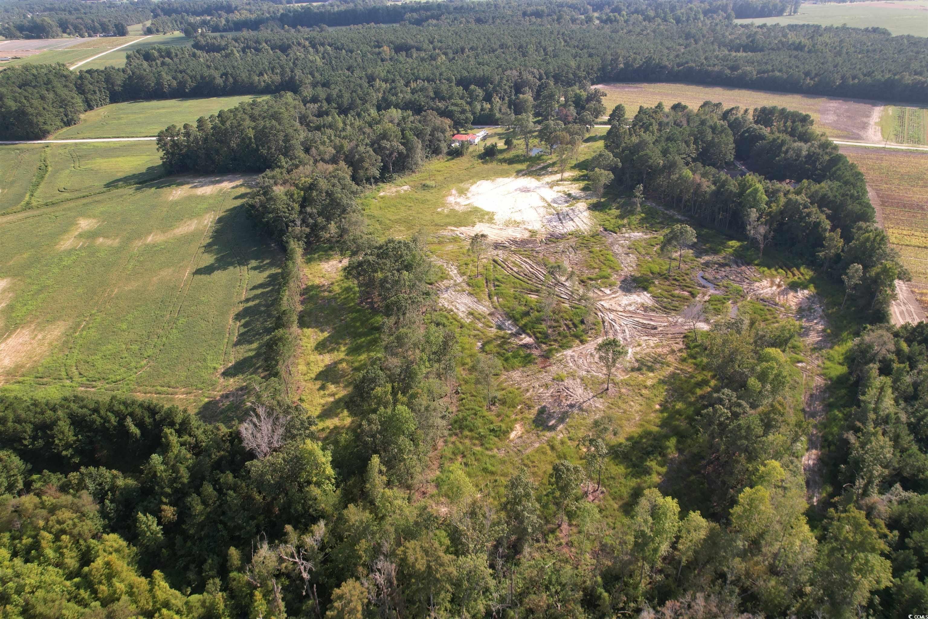 TBD Grainloyd Rd. Galivants Ferry, SC 29544