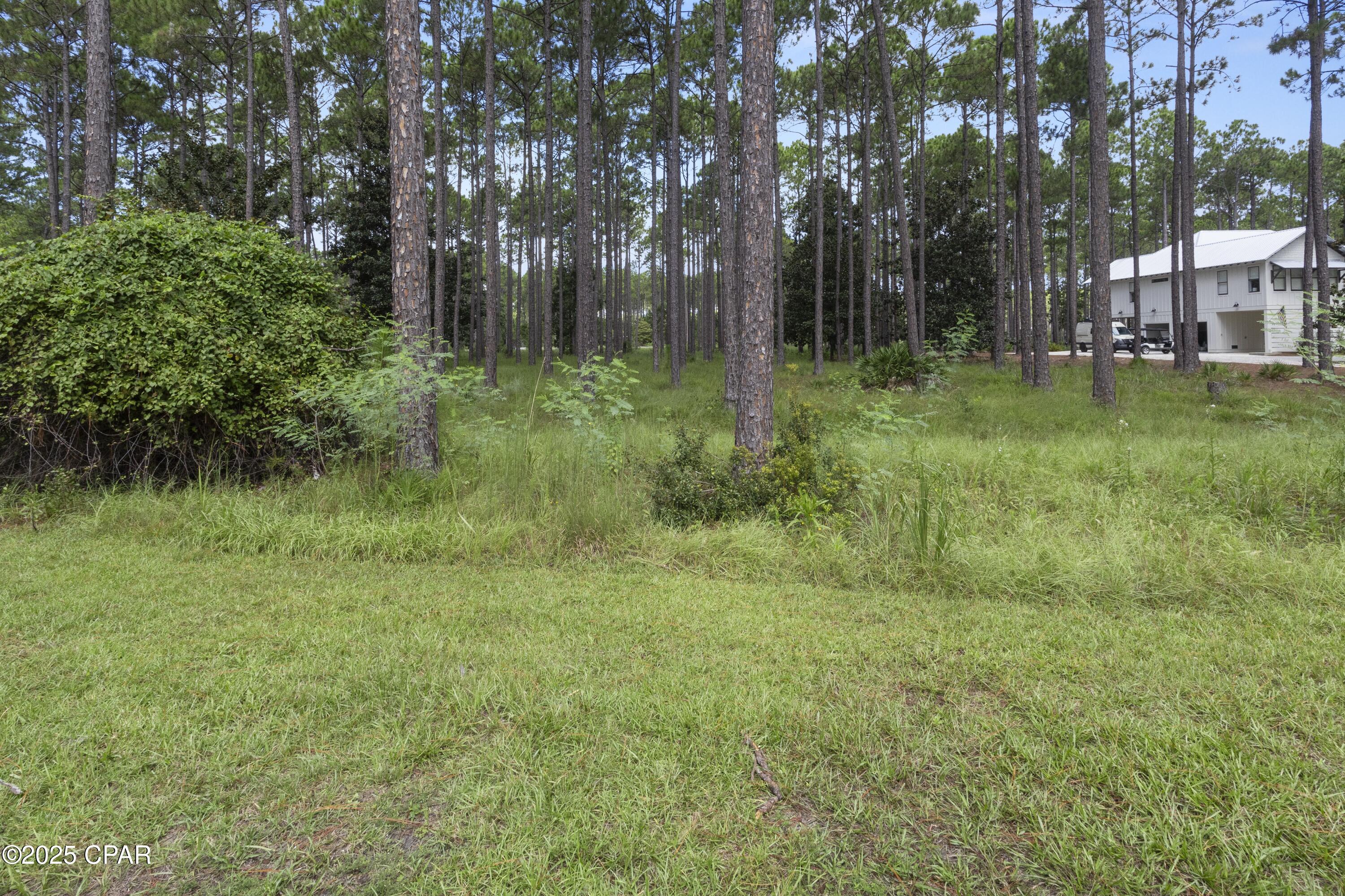 Image 8 For 6325 Turkey Cove Lane