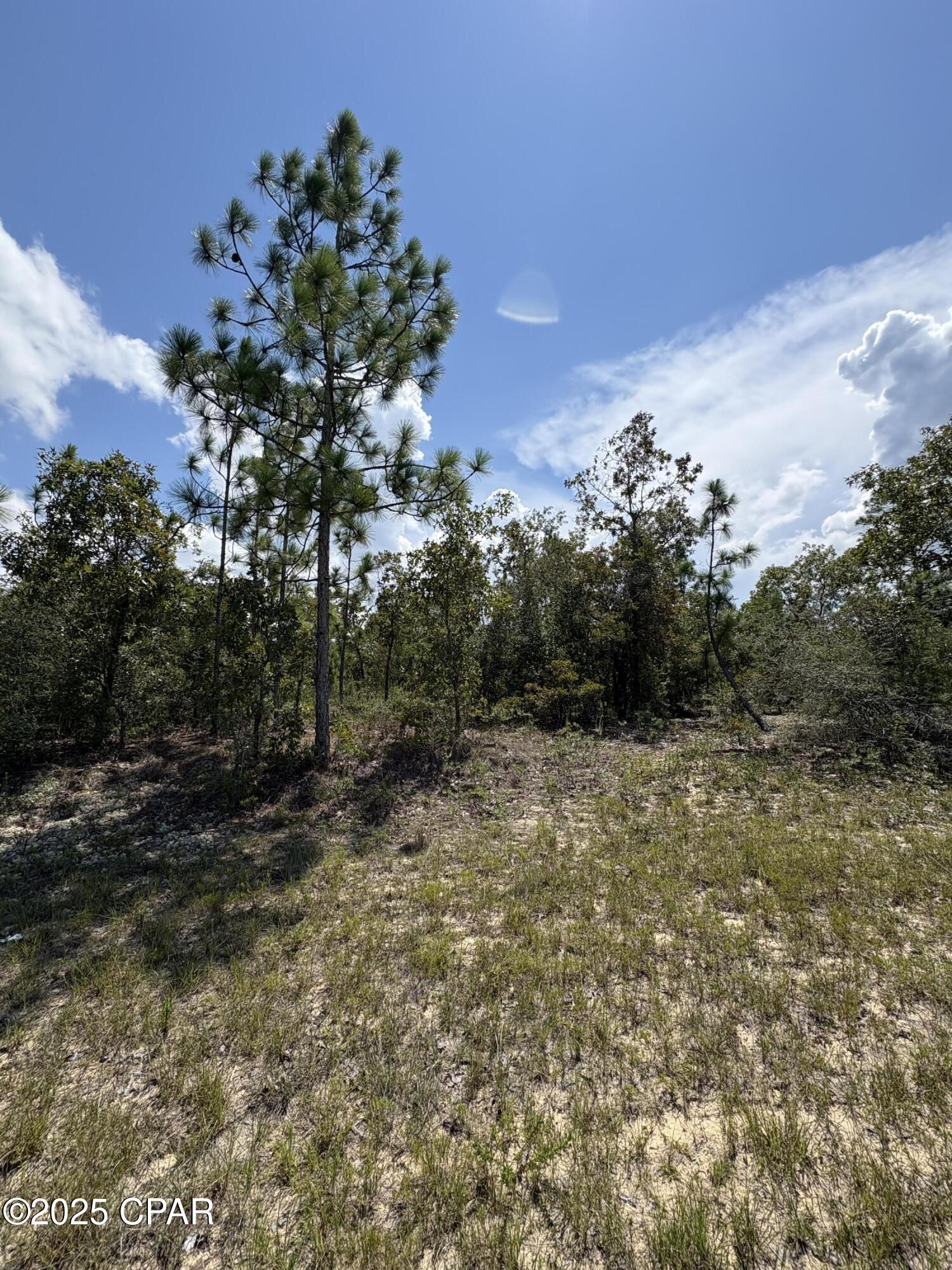 Image 4 For Lot 15 Trellis Drive