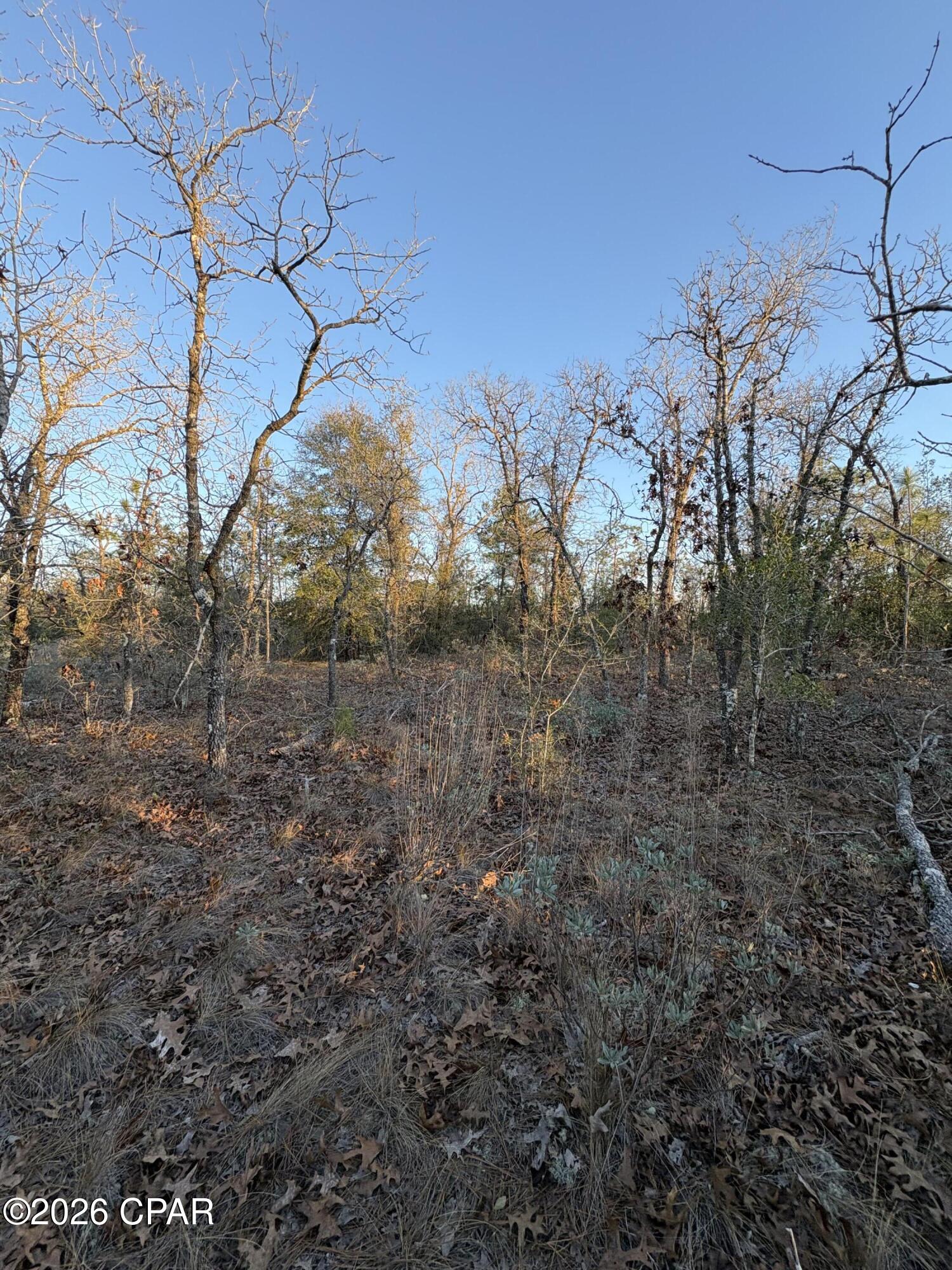 Image 7 For Lot 15 Trellis Drive