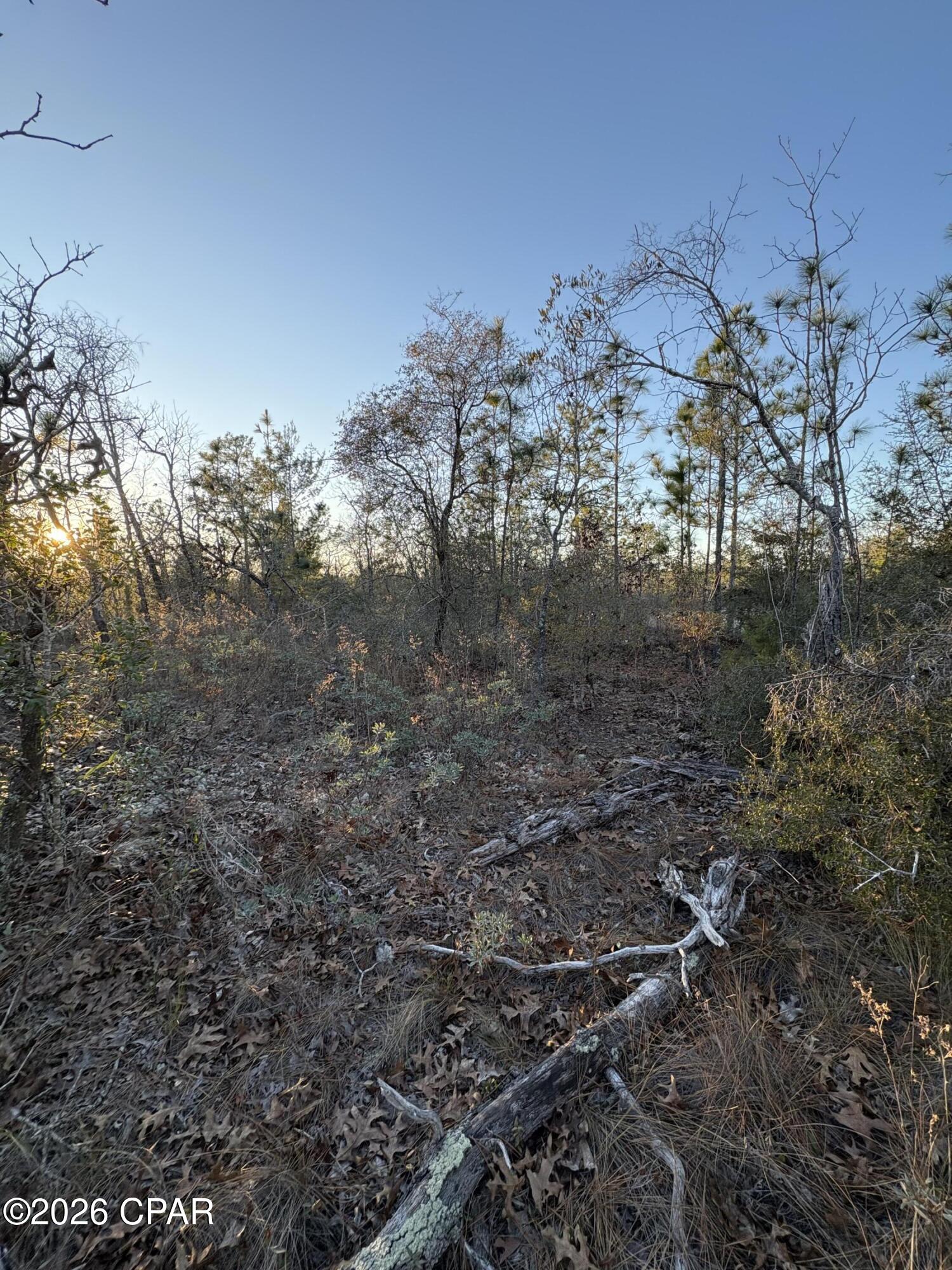 O8jx75dgli5s7cjrslfsuwdesgizqqu9bjccogdhrp0