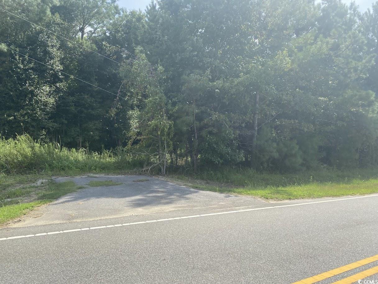 TBD Long Branch Swamp Rd. Green Sea, SC 29545