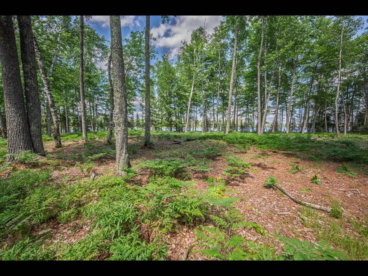 Clearwater Lake Property Lot 165 Clearwater Lake Tr Photo 12