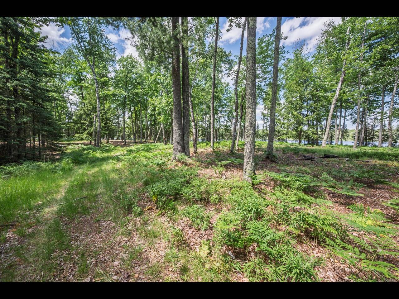 Clearwater Lake Property Lot 165 Clearwater Lake Tr Photo 13