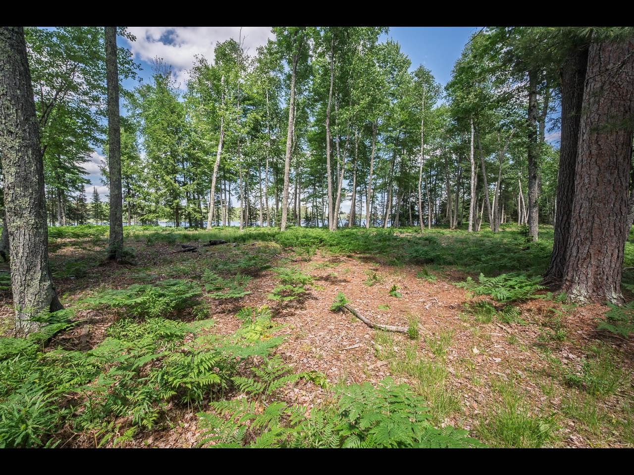 Clearwater Lake Property Lot 165 Clearwater Lake Tr Photo 3