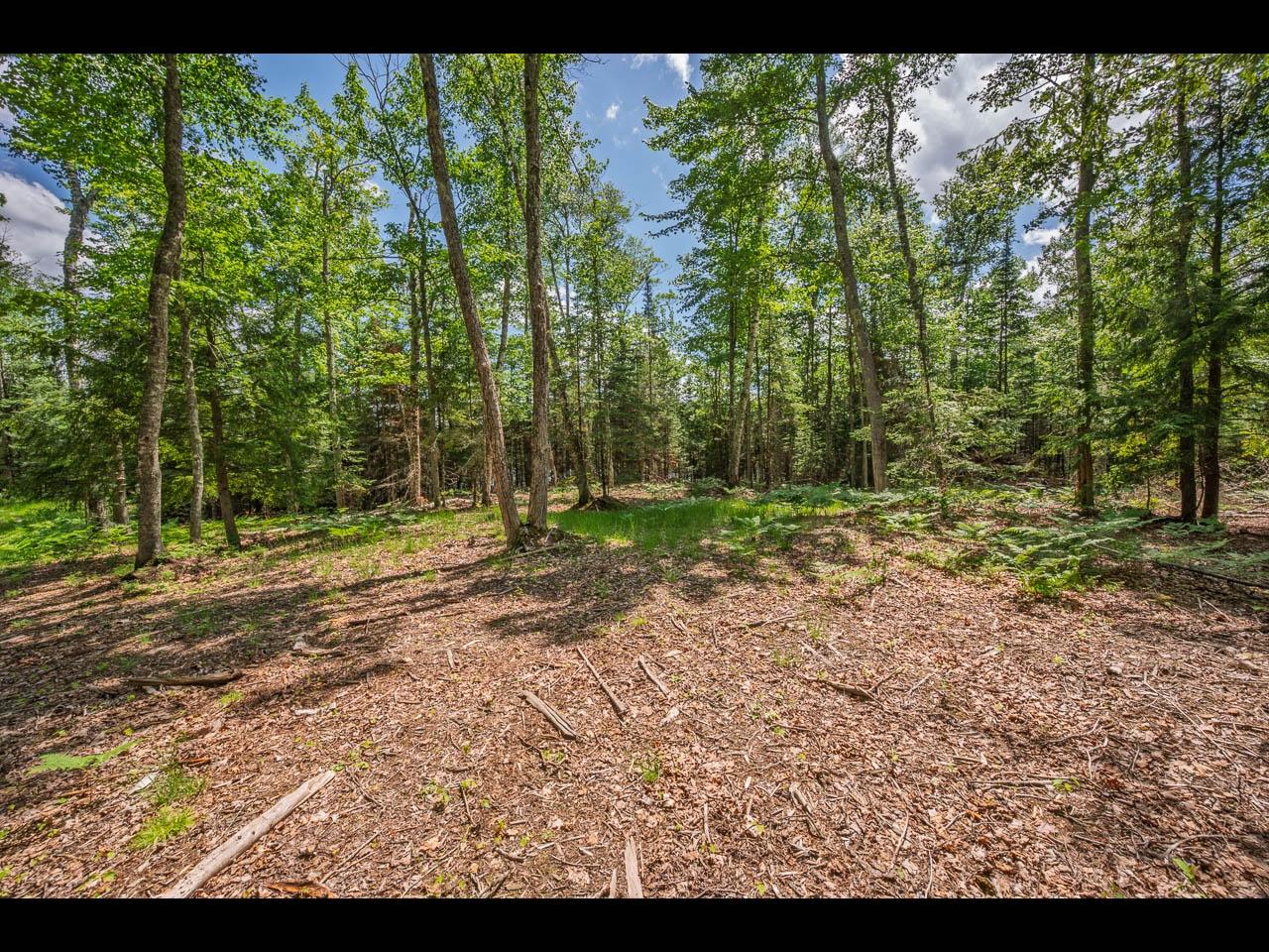 Clearwater Lake Property Lot 165 Clearwater Lake Tr Photo 5